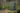 Darwin 44 Tuinhuis - 125,8x117x205 cm - Groen